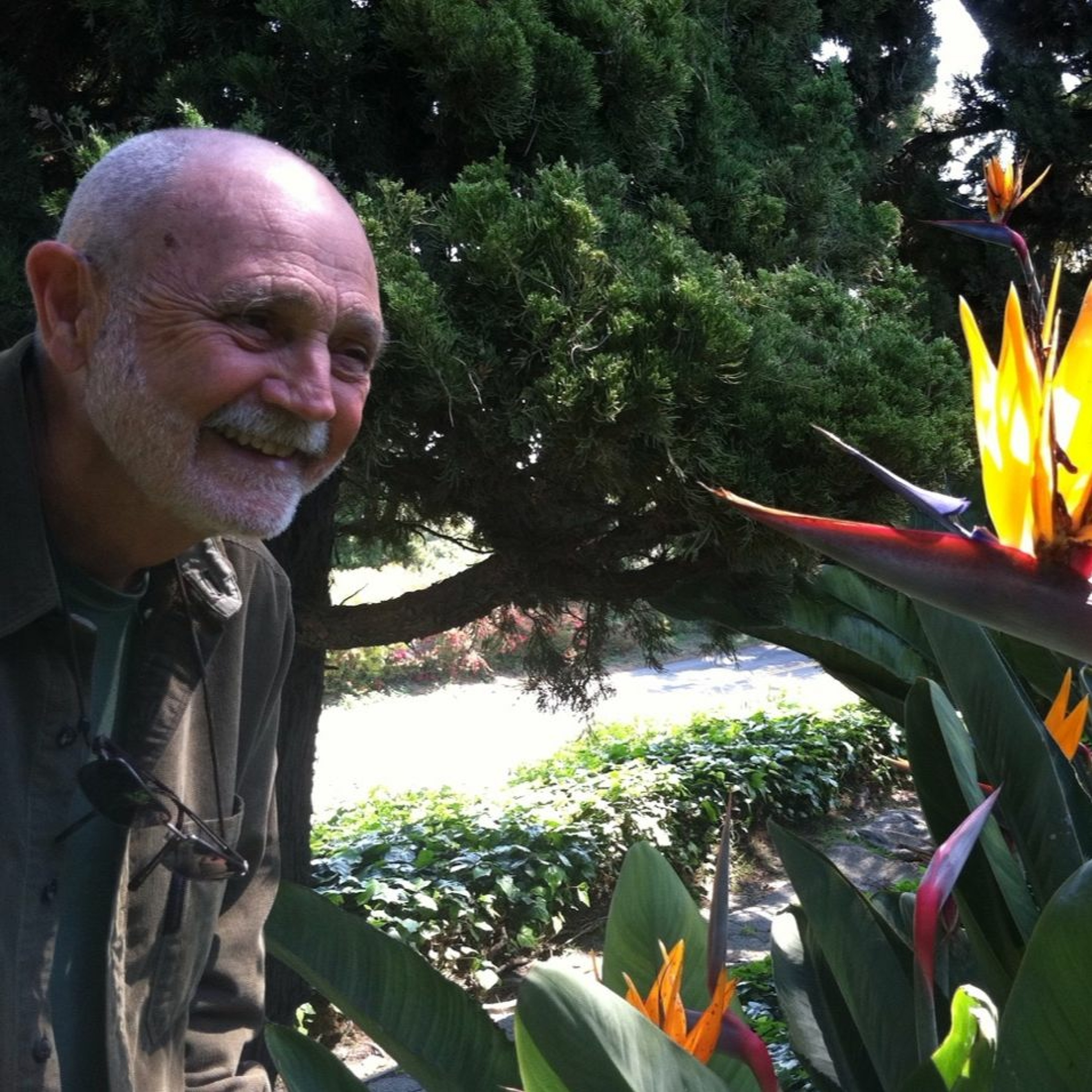 How Does the Mind Create the World? - Culadasa episode artwork