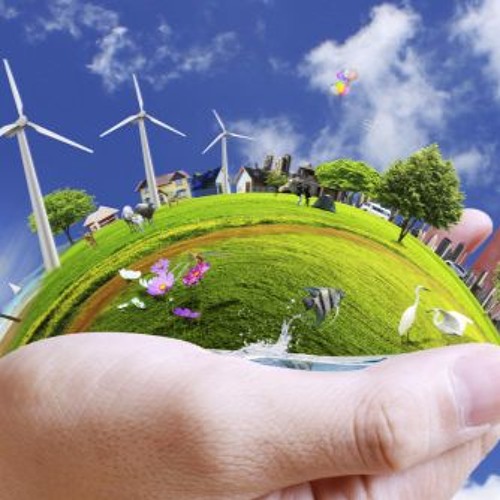 Only Capitalism Can Save The Environment