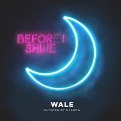 You Got It Freestyle (DJ Luna feat. Wale)