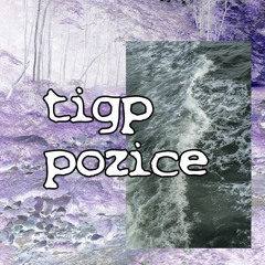 TIGP - Pozice