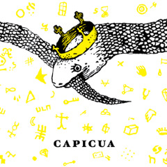 Capicua - Casa No Campo (Instrumental 2012)