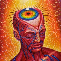 Trip Sesh (XXYYXX / Flume / ODESZA / Chrome Sparks / Shlohmo / What So Not / Vallis Alps)