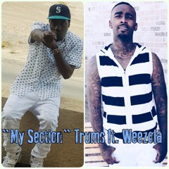 My Section