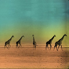 For The Lonesome - Teaser