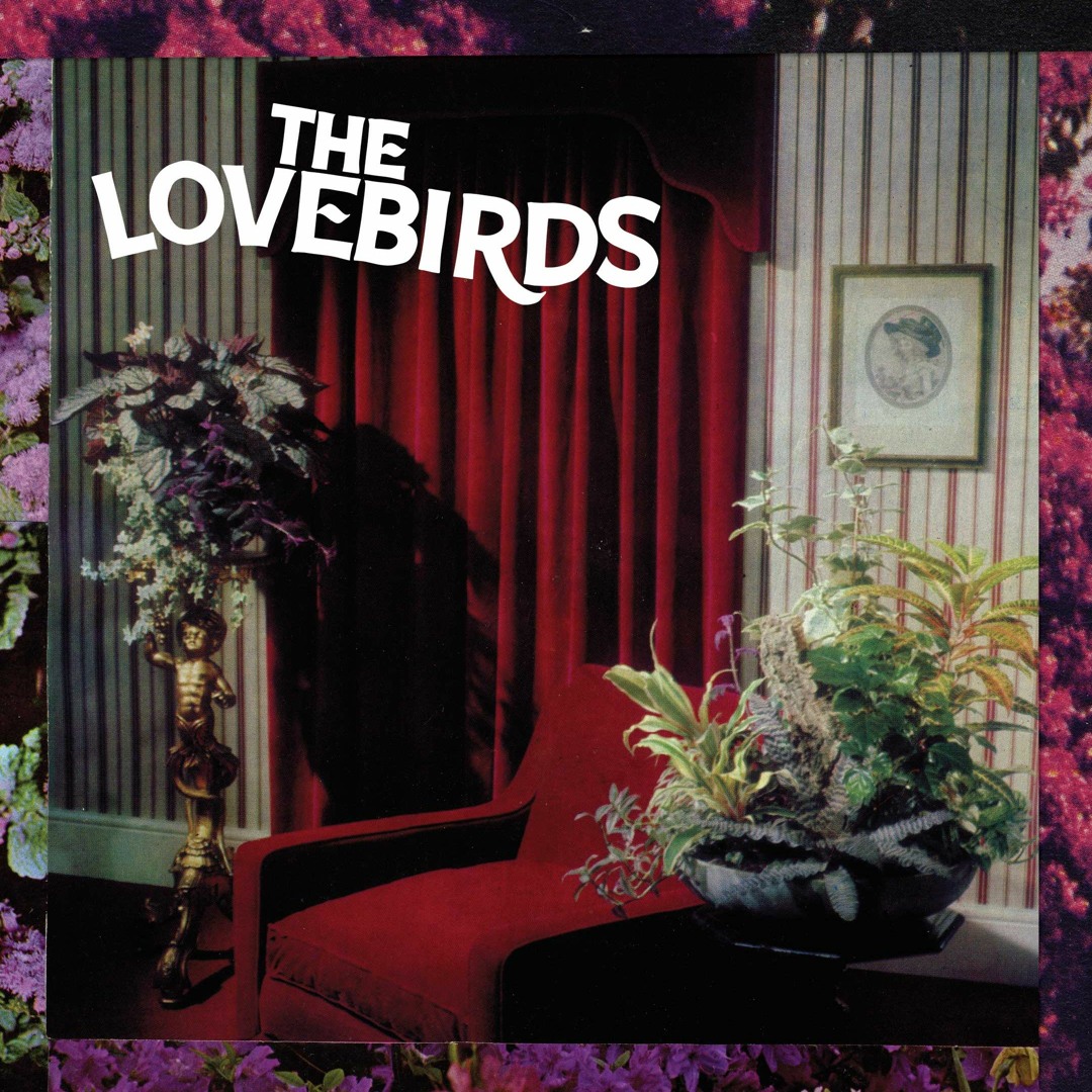 Stream The Love-Birds - Filled With Hate by Empty Cellar Records ...
