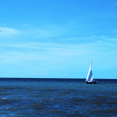 The Traveler(acoustic)