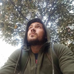 Shape Of You (remix)