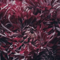 Deadmau5 & Kaskade - Move for me (Laze remix)