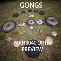 GONGS MKH8040 Preview
