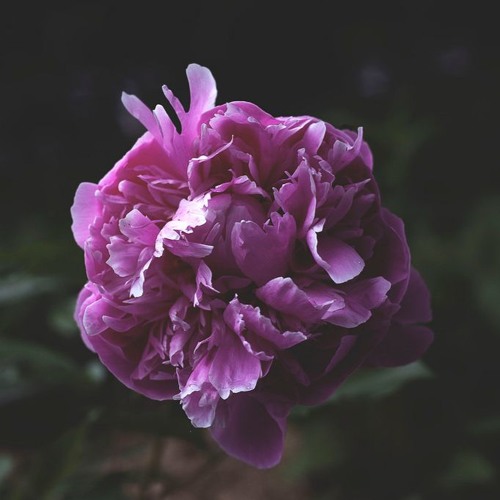 Jorm - Broken