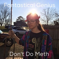 Don't Do Meth by Fantastical Genius (feat. Retarded Beethoven)