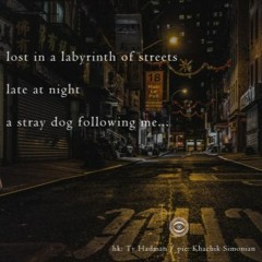 lost in a labyrinth of streets (Naviarhaiku 167)