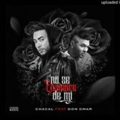 Chacal Ft. Don Omar - No Se Enamore de Mi (Oficial Remix)
