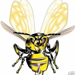Stung