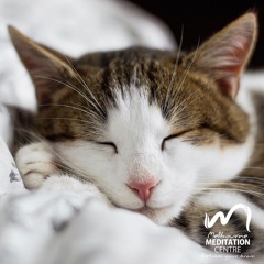 Meditation For A Tired Body & Mind