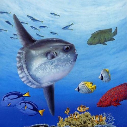 近海のテーマ ぬし釣り64 潮風にのって より The Theme Of Inshore Nushi Tsuri 64 Shiokaze Ni Notte By Auzenismo 近海のテーマ ぬし釣り64 潮風にのって より The Theme Of Inshore Nushi Tsuri 64 Shiokaze Ni Notte By Auzenismo