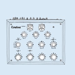 Discrete Circuits with Max Santilli
