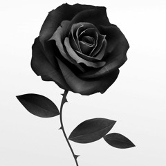 Fleur Noire