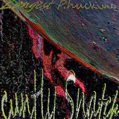 Mr. Vain (Cuntly Snatch Wet Mix)