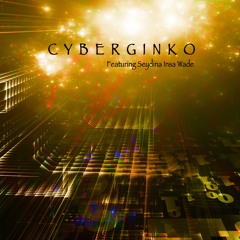 Cybergynko