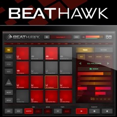 BeatHawk - 'Hip Hop' Demo Song by Louis Couka