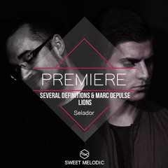 PREMIERE:  Several Definitions & Marc DePulse - Lions [Selador]