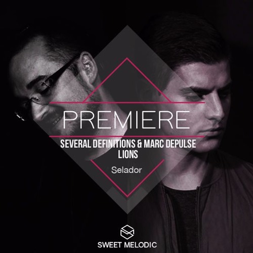 PREMIERE:  Several Definitions & Marc DePulse - Lions [Selador]