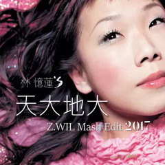 天大地大 TinTaiTeiTai (Z.WIL Mash Edit 2017)