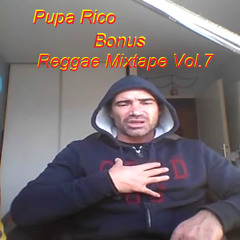 Reggae Mixtape Special Pupa Rico By Selecteur Octa [2013]