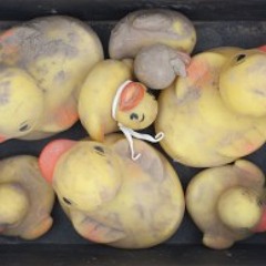 Stump: Photographers Use Their Lens to Make Us Look at Tough Issues