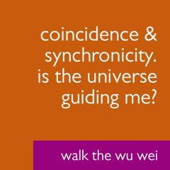 Coincidence & Synchronicity - Is the Universe Guiding Me? - Walk The Wu Wei #011
