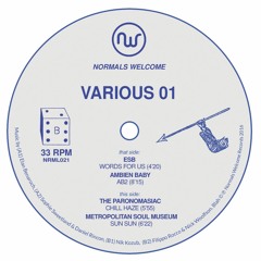 Various 01 (NRML021)