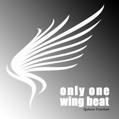 Only one wing beat