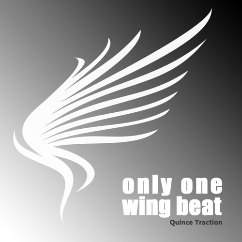 Only one wing beat