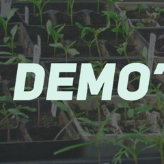 Я пойму (demo'17)