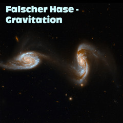 Falscher Hase - Gravitation (März 2017)