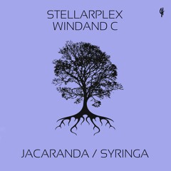 Stellarplex, WINDAND C - Syringa (Original Mix) [Capital Heaven]