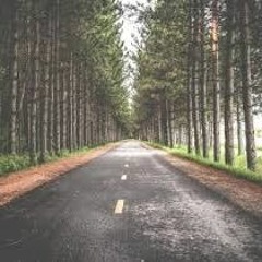 Trip !( DosenBeatS!)