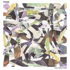 POND - The Weather