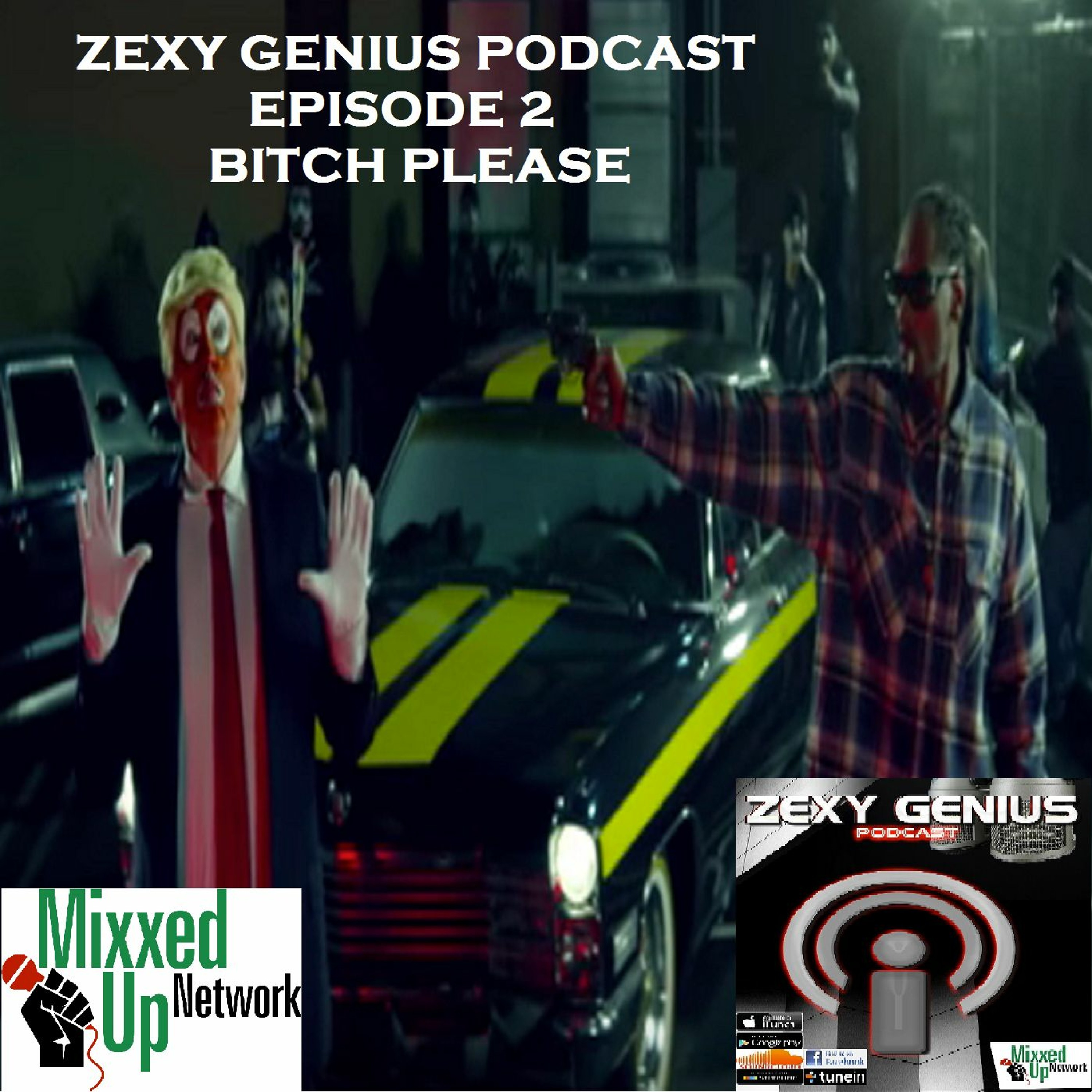 Zexy Genius: Bitch Please