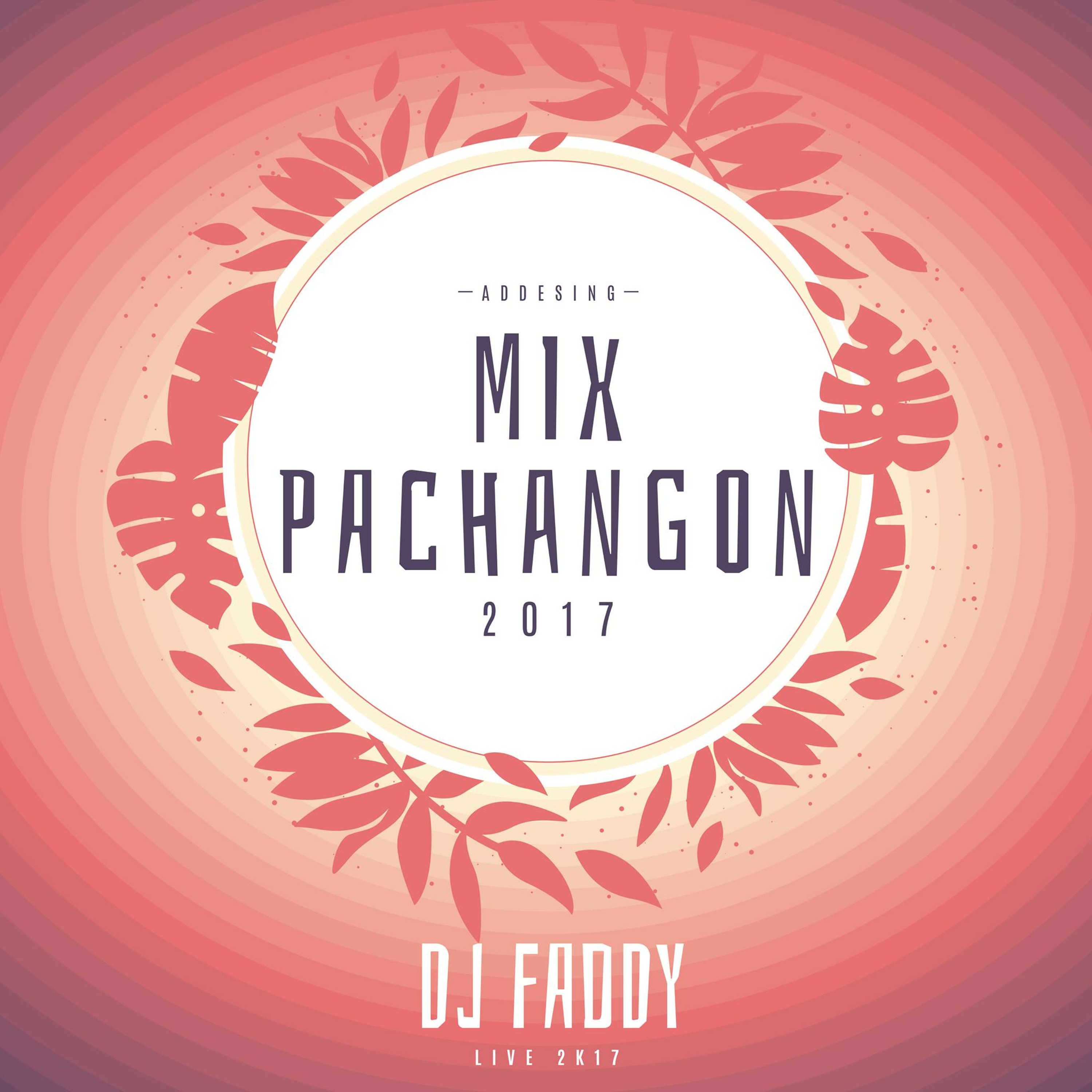 Mixes / Remixes