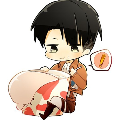 Lllトゥルティンアンテナlll Levi - しゅーず
