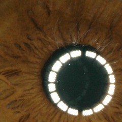 Impro( - Vision) [unmastered] Trance