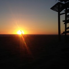 Electronic Fields Of Pleasure  - 001