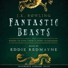Fantastic Beasts and Where to Find Them: Imp