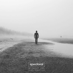 Spectoral & Martiln — Without You