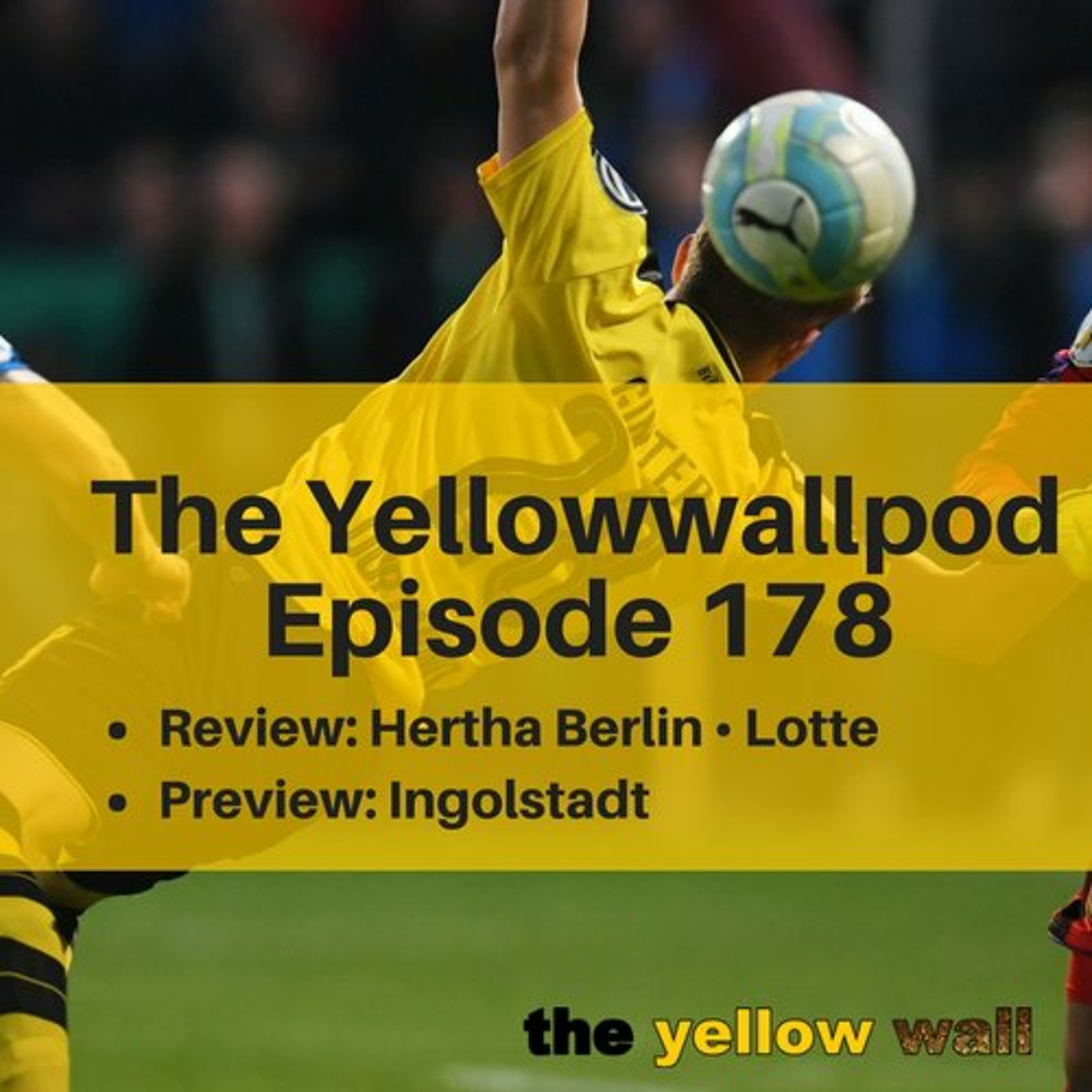 Yellowwallpod