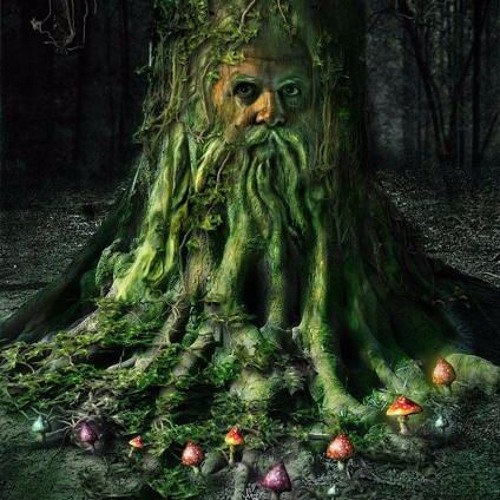 Dj Set Uttolan Anukaran - Forest Ritual darkpsy style