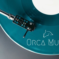 House Train - Orca Music Remix