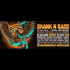 Skank N Bass Indoor Festival Fazer